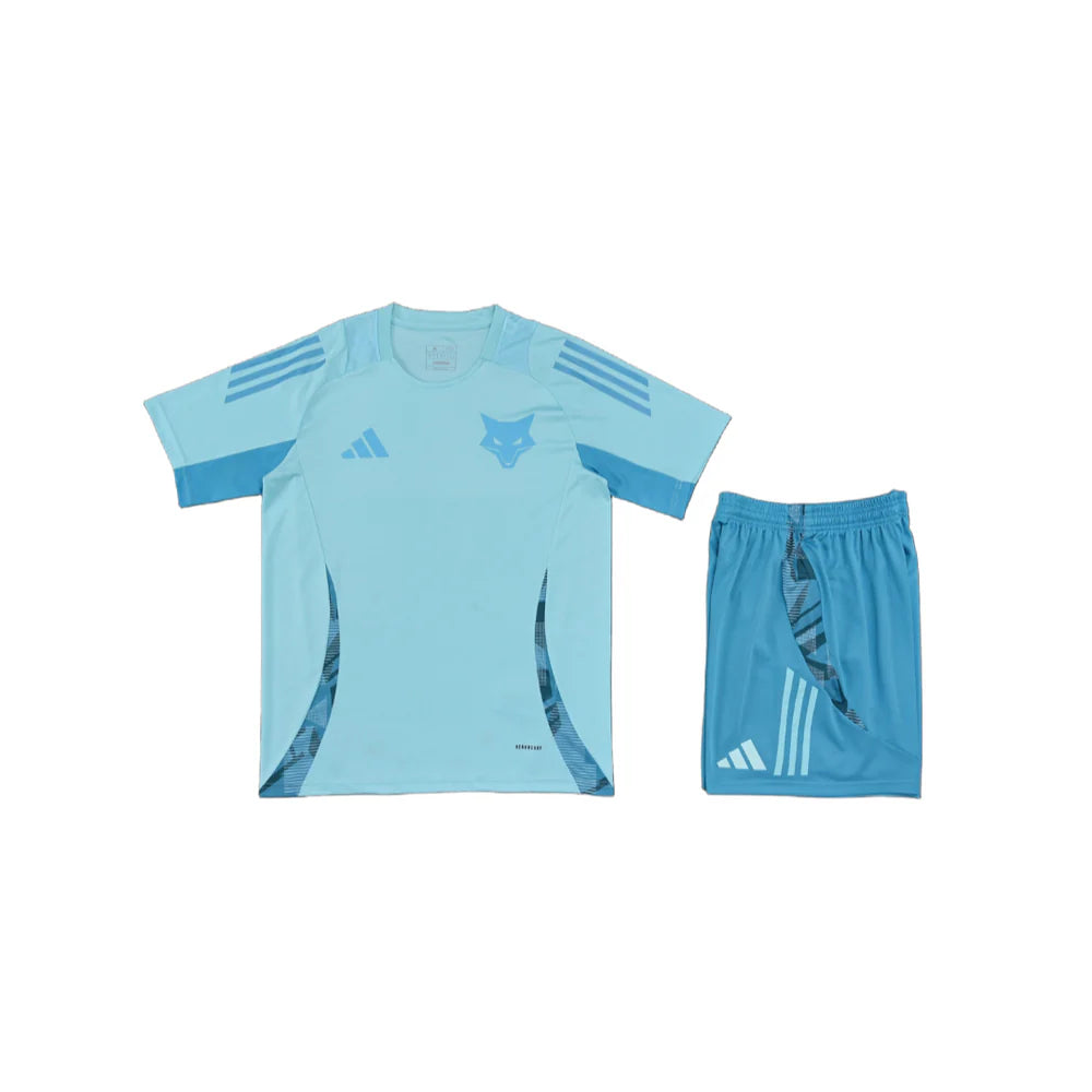 Ensemble Cruzeiro "Bleu" Training