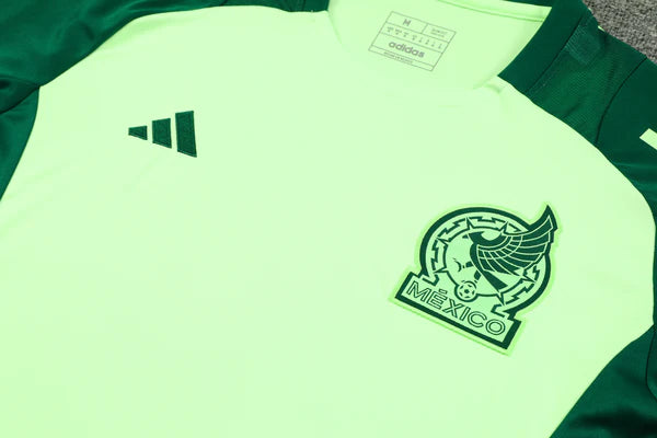 Ensemble Mexique Training 24/25